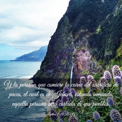 Picture 03 - Levítico 7:20 RVA - Y la persona que comiere la carne del sacrificio - Bible Verse Picture