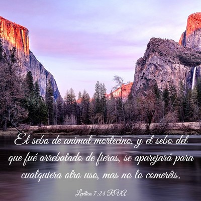 Picture 03 - Levítico 7:24 RVA - El sebo de animal mortecino, y el sebo del que - Bible Verse Picture