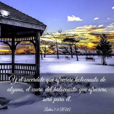 Picture 03 - Levítico 7:8 RVA - Y el sacerdote que ofreciere holocausto de - Bible Verse Picture