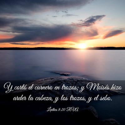 Picture 03 - Levítico 8:20 RVA - Y cortó el carnero en trozos; y Moisés hizo - Bible Verse Picture