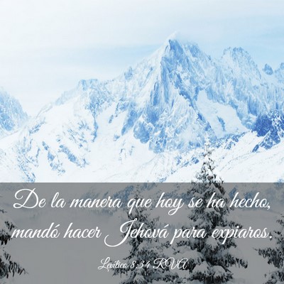 Picture 03 - Levítico 8:34 RVA - De la manera que hoy se ha hecho, mandó hacer - Bible Verse Picture