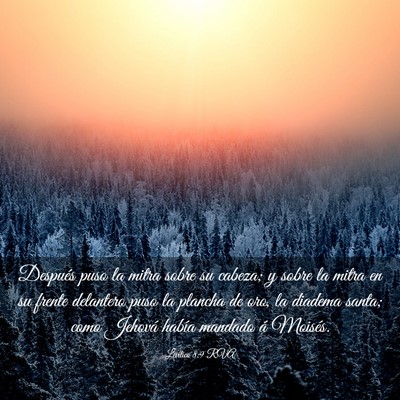 Picture 03 - Levítico 8:9 RVA - Después puso la mitra sobre su cabeza; y sobre - Bible Verse Picture