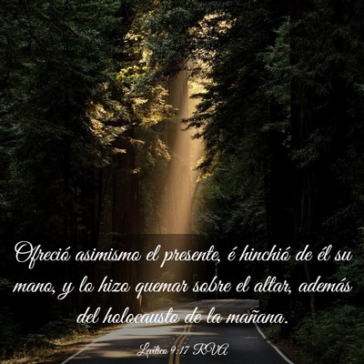 Picture 03 - Levítico 9:17 RVA - Ofreció asimismo el presente, é hinchió de él - Bible Verse Picture