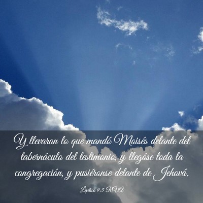 Picture 03 - Levítico 9:5 RVA - Y llevaron lo que mandó Moisés delante del - Bible Verse Picture
