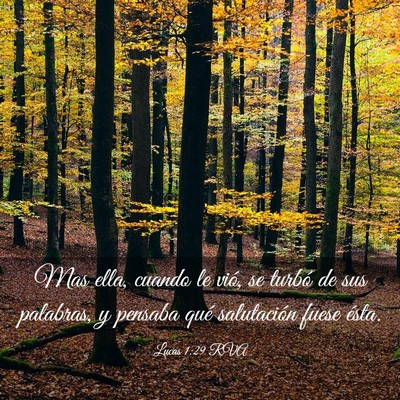 Picture 03 - Lucas 1:29 RVA - Mas ella, cuando le vió, se turbó de sus - Bible Verse Picture