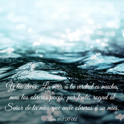 Picture 03 - Lucas 10:2 RVA - Y les decía: La mies á la verdad es mucha, mas - Bible Verse Picture