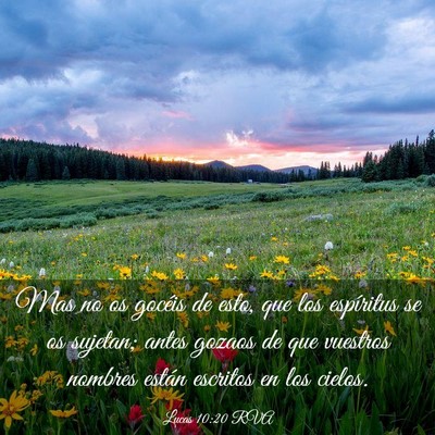 Picture 03 - Lucas 10:20 RVA - Mas no os gocéis de esto, que los espíritus se - Bible Verse Picture