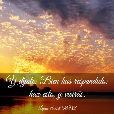 Picture 03 - Lucas 10:28 RVA - Y díjole: Bien has respondido: haz esto, y - Bible Verse Picture