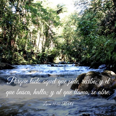 Picture 03 - Lucas 11:10 RVA - Porque todo aquel que pide, recibe; y el que - Bible Verse Picture