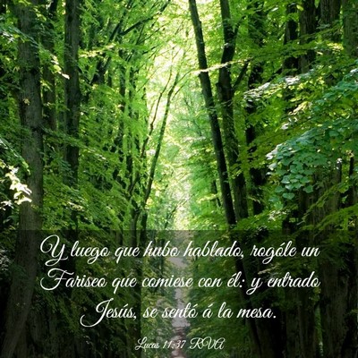 Picture 03 - Lucas 11:37 RVA - Y luego que hubo hablado, rogóle un Fariseo que - Bible Verse Picture