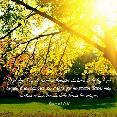 Picture 03 - Lucas 11:46 RVA - Y él dijo: ­Ay de vosotros también, doctores - Bible Verse Picture