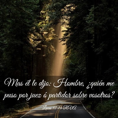 Picture 03 - Lucas 12:14 RVA - Mas él le dijo: Hombre, ¿quién me puso por - Bible Verse Picture