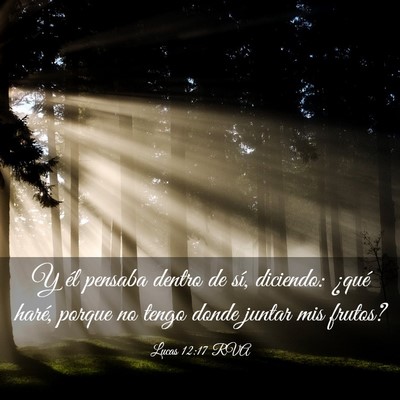 Picture 03 - Lucas 12:17 RVA - Y él pensaba dentro de sí, diciendo: ¿qué - Bible Verse Picture