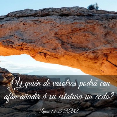 Picture 03 - Lucas 12:25 RVA - ¿Y quién de vosotros podrá con afán añadir - Bible Verse Picture