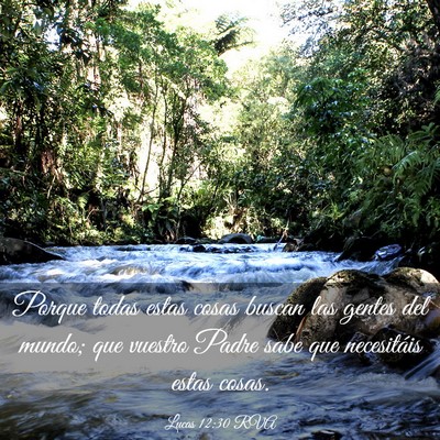 Picture 03 - Lucas 12:30 RVA - Porque todas estas cosas buscan las gentes del - Bible Verse Picture