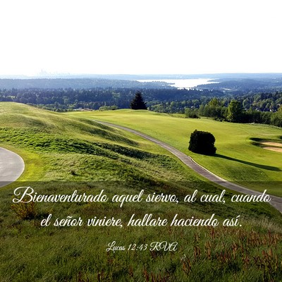 Picture 03 - Lucas 12:43 RVA - Bienaventurado aquel siervo, al cual, cuando el - Bible Verse Picture