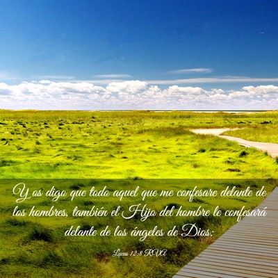 Picture 03 - Lucas 12:8 RVA - Y os digo que todo aquel que me confesare delante - Bible Verse Picture