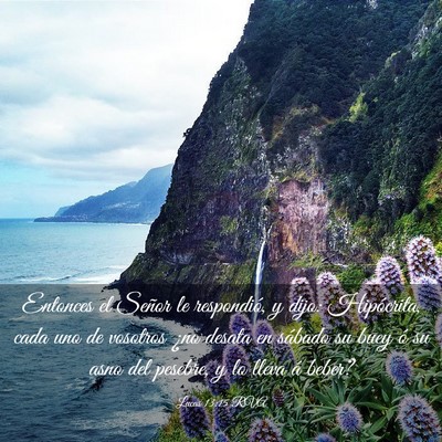 Picture 03 - Lucas 13:15 RVA - Entonces el Señor le respondió, y dijo: - Bible Verse Picture