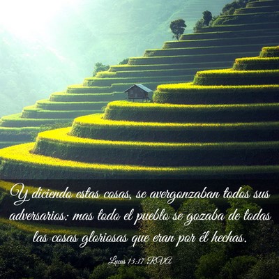 Picture 03 - Lucas 13:17 RVA - Y diciendo estas cosas, se avergonzaban todos sus - Bible Verse Picture
