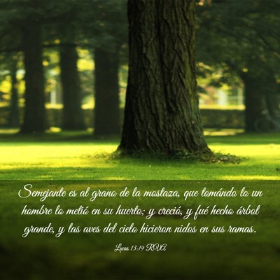 Picture 03 - Lucas 13:19 RVA - Semejante es al grano de la mostaza, que tomándo - Bible Verse Picture