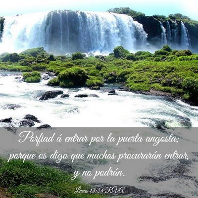 Picture 03 - Lucas 13:24 RVA - Porfiad á entrar por la puerta angosta; porque - Bible Verse Picture