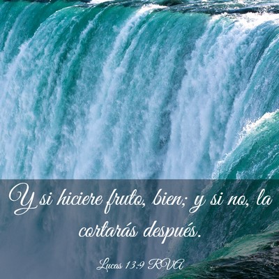 Picture 03 - Lucas 13:9 RVA - Y si hiciere fruto, bien; y si no, la cortarás - Bible Verse Picture