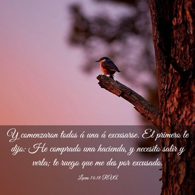 Picture 03 - Lucas 14:18 RVA - Y comenzaron todos á una á excusarse. El - Bible Verse Picture