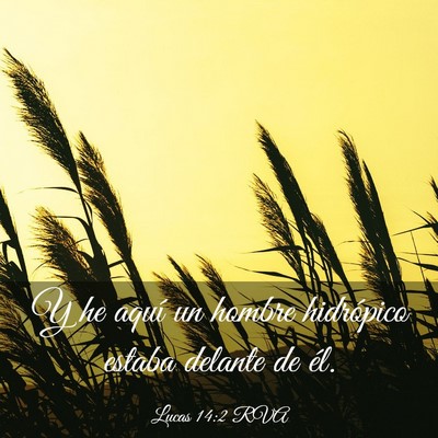 Picture 03 - Lucas 14:2 RVA - Y he aquí un hombre hidrópico estaba delante de - Bible Verse Picture