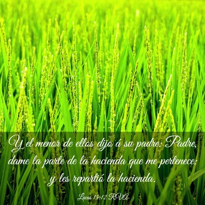 Picture 03 - Lucas 15:12 RVA - Y el menor de ellos dijo á su padre: Padre, dame - Bible Verse Picture