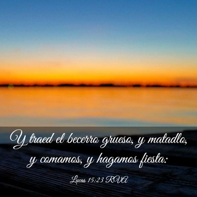 Picture 03 - Lucas 15:23 RVA - Y traed el becerro grueso, y matadlo, y comamos, - Bible Verse Picture