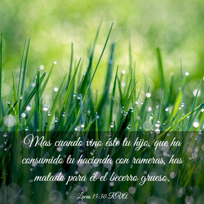 Picture 03 - Lucas 15:30 RVA - Mas cuando vino éste tu hijo, que ha consumido - Bible Verse Picture