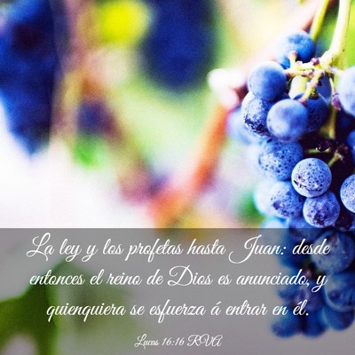 Picture 03 - Lucas 16:16 RVA - La ley y los profetas hasta Juan: desde entonces - Bible Verse Picture