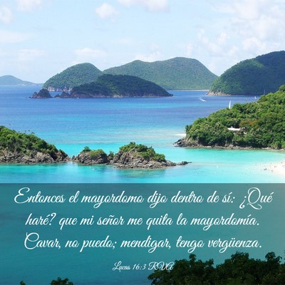 Picture 03 - Lucas 16:3 RVA - Entonces el mayordomo dijo dentro de sí: ¿Qué - Bible Verse Picture