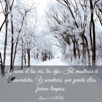Picture 03 - Lucas 17:14 RVA - Y como él los vió, les dijo: Id, mostraos á - Bible Verse Picture