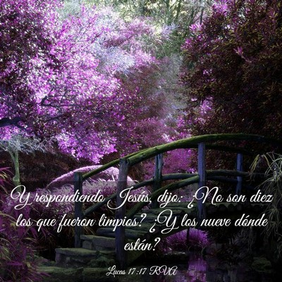 Picture 03 - Lucas 17:17 RVA - Y respondiendo Jesús, dijo: ¿No son diez los - Bible Verse Picture