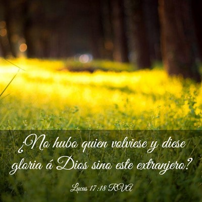 Picture 03 - Lucas 17:18 RVA - ¿No hubo quien volviese y diese gloria á Dios - Bible Verse Picture