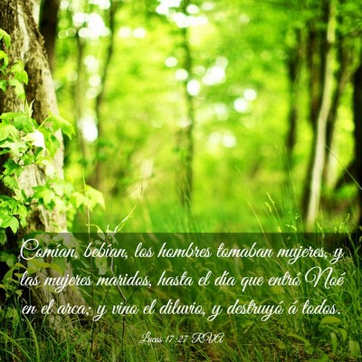 Picture 03 - Lucas 17:27 RVA - Comían, bebían, los hombres tomaban mujeres, y - Bible Verse Picture