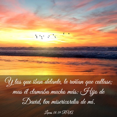 Picture 03 - Lucas 18:39 RVA - Y los que iban delante, le reñían que callase; - Bible Verse Picture