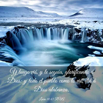 Picture 03 - Lucas 18:43 RVA - Y luego vió, y le seguía, glorificando á Dios: - Bible Verse Picture