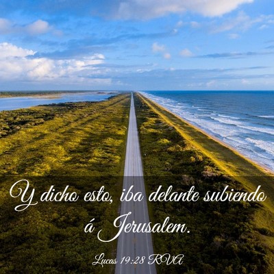 Picture 03 - Lucas 19:28 RVA - Y dicho esto, iba delante subiendo á - Bible Verse Picture