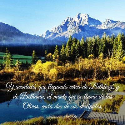 Picture 03 - Lucas 19:29 RVA - Y aconteció, que llegando cerca de Bethfagé, y - Bible Verse Picture