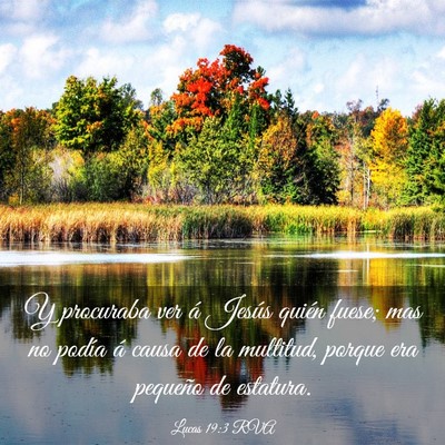 Picture 03 - Lucas 19:3 RVA - Y procuraba ver á Jesús quién fuese; mas no - Bible Verse Picture