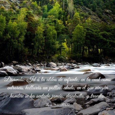 Picture 03 - Lucas 19:30 RVA - Diciendo: Id á la aldea de enfrente; en la cual - Bible Verse Picture