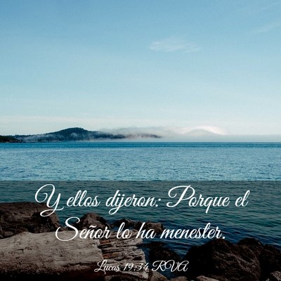 Picture 03 - Lucas 19:34 RVA - Y ellos dijeron: Porque el Señor lo ha - Bible Verse Picture