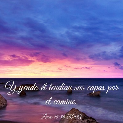 Picture 03 - Lucas 19:36 RVA - Y yendo él tendían sus capas por el - Bible Verse Picture