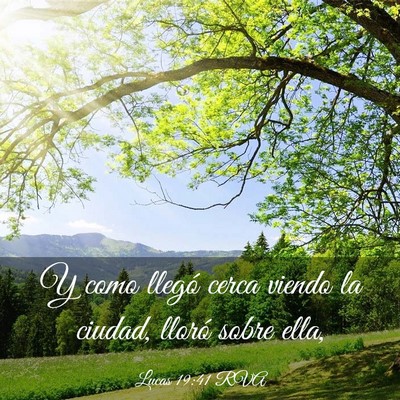Picture 03 - Lucas 19:41 RVA - Y como llegó cerca viendo la ciudad, lloró - Bible Verse Picture