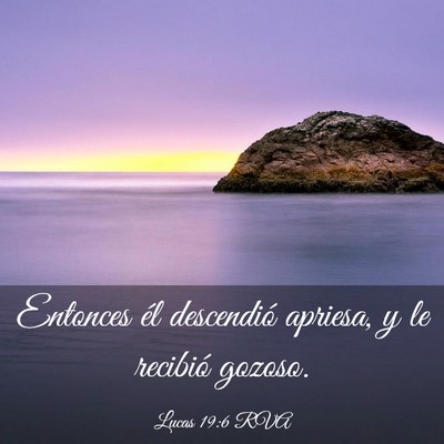 Picture 03 - Lucas 19:6 RVA - Entonces él descendió apriesa, y le recibió - Bible Verse Picture
