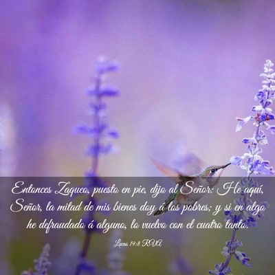 Picture 03 - Lucas 19:8 RVA - Entonces Zaqueo, puesto en pie, dijo al Señor: - Bible Verse Picture