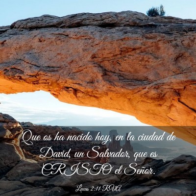 Picture 03 - Lucas 2:11 RVA - Que os ha nacido hoy, en la ciudad de David, un - Bible Verse Picture