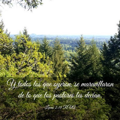 Picture 03 - Lucas 2:18 RVA - Y todos los que oyeron, se maravillaron de lo que - Bible Verse Picture